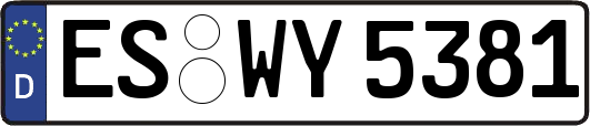 ES-WY5381