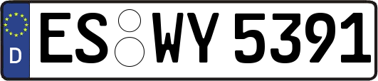 ES-WY5391