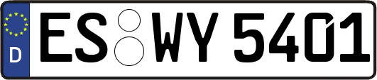 ES-WY5401