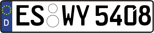 ES-WY5408