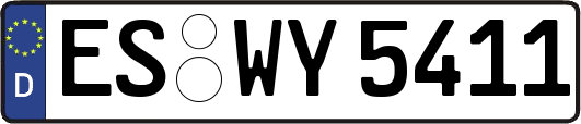 ES-WY5411