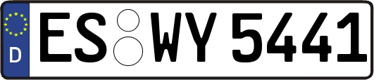 ES-WY5441