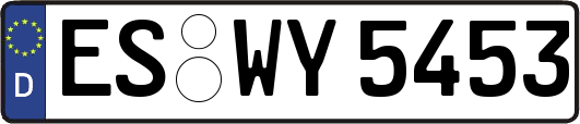 ES-WY5453