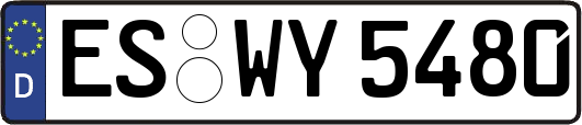 ES-WY5480