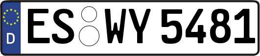 ES-WY5481