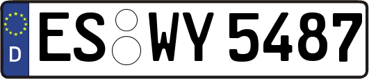 ES-WY5487