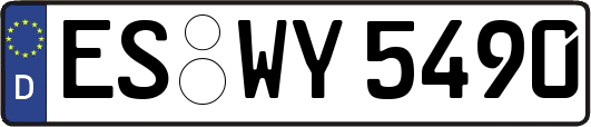 ES-WY5490