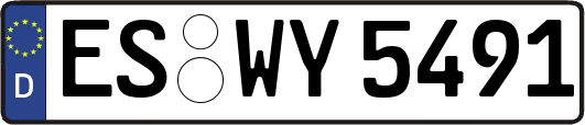 ES-WY5491