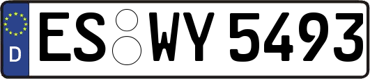 ES-WY5493