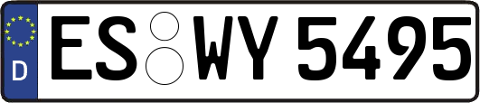 ES-WY5495