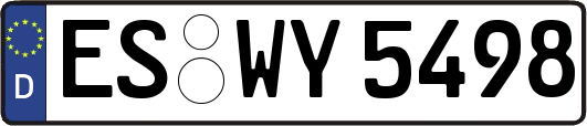 ES-WY5498