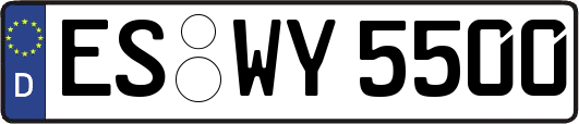 ES-WY5500