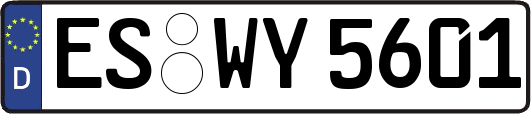 ES-WY5601