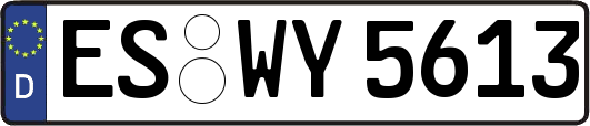 ES-WY5613
