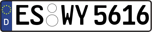 ES-WY5616