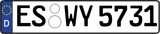 ES-WY5731