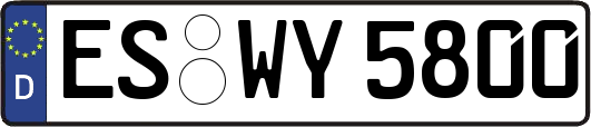 ES-WY5800