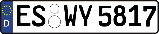 ES-WY5817