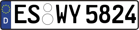 ES-WY5824