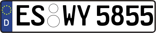 ES-WY5855