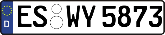 ES-WY5873