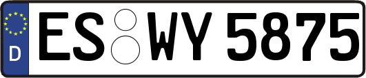 ES-WY5875