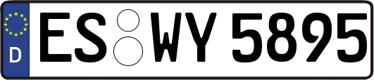 ES-WY5895
