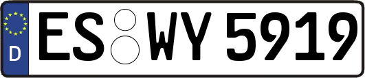 ES-WY5919