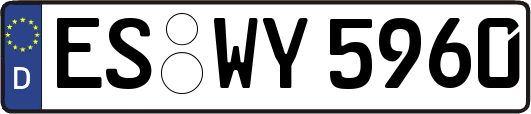 ES-WY5960