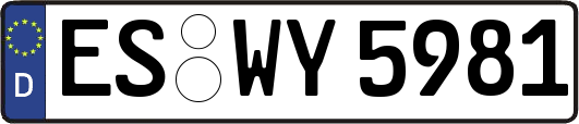 ES-WY5981