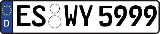 ES-WY5999