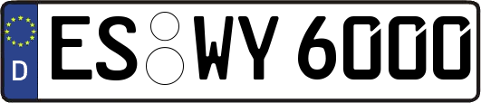ES-WY6000