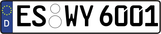 ES-WY6001