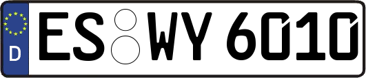 ES-WY6010