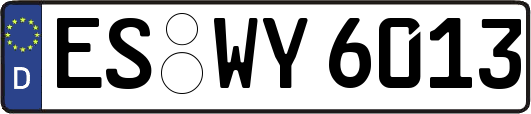 ES-WY6013