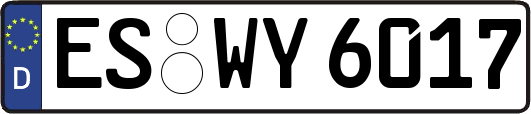 ES-WY6017
