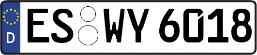 ES-WY6018