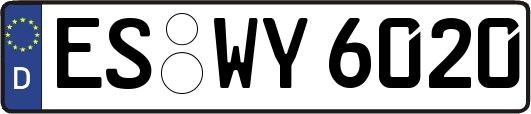 ES-WY6020