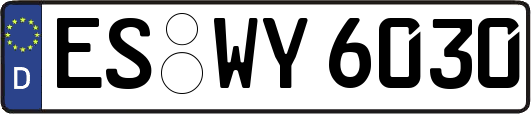 ES-WY6030