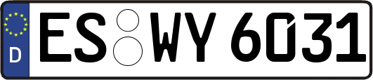 ES-WY6031