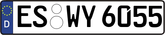 ES-WY6055