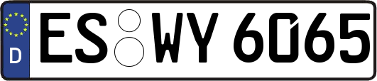 ES-WY6065