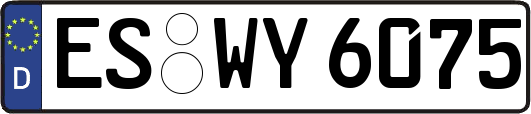 ES-WY6075
