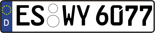 ES-WY6077