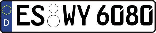 ES-WY6080