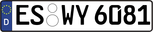 ES-WY6081
