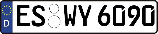 ES-WY6090