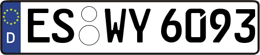 ES-WY6093