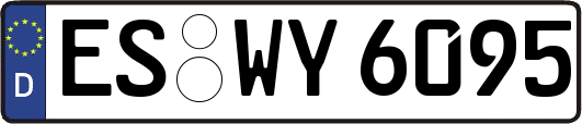 ES-WY6095
