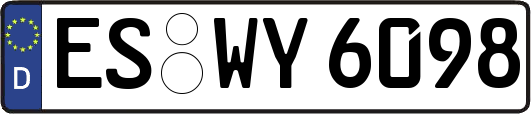 ES-WY6098